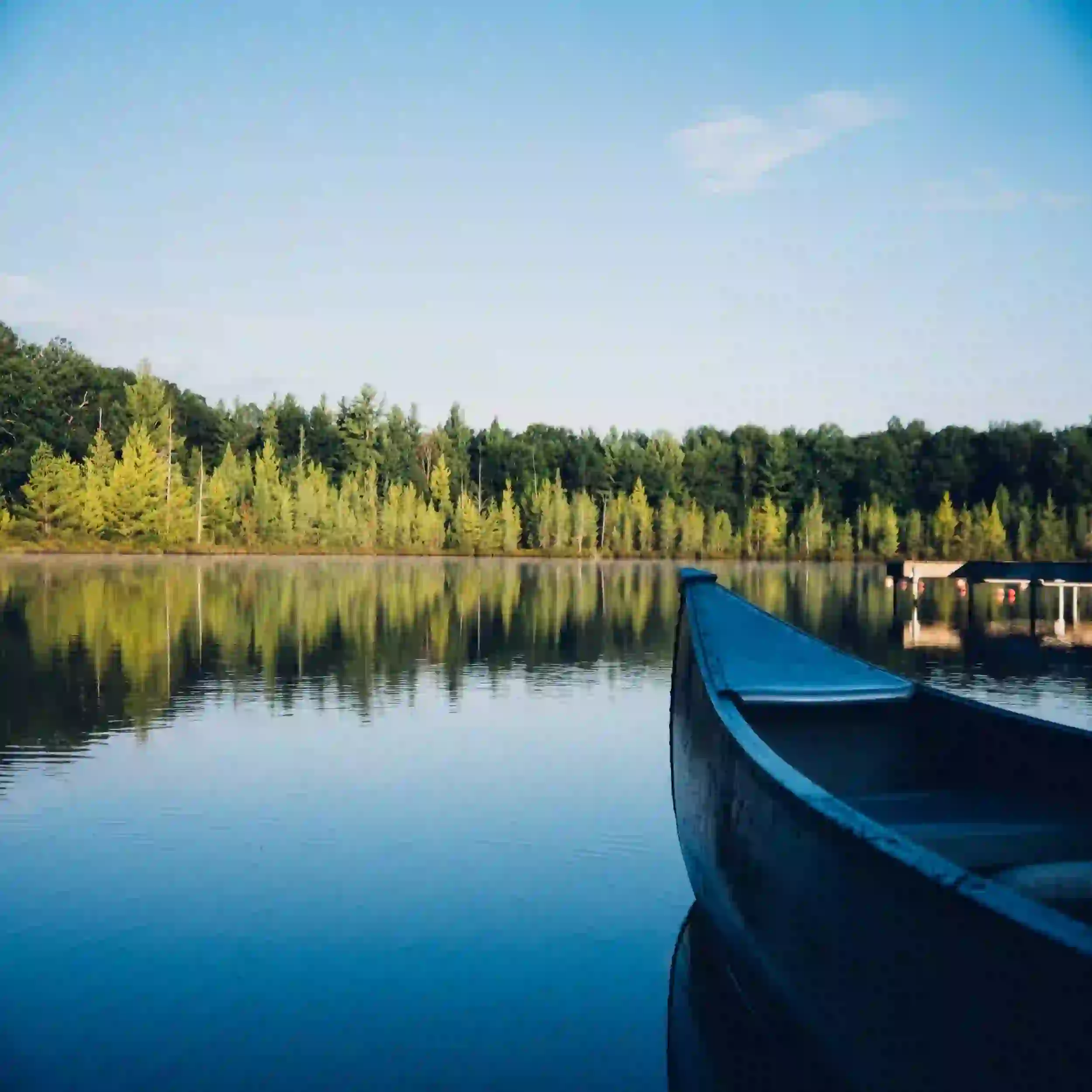 A tranquil scene while cruising down the river.