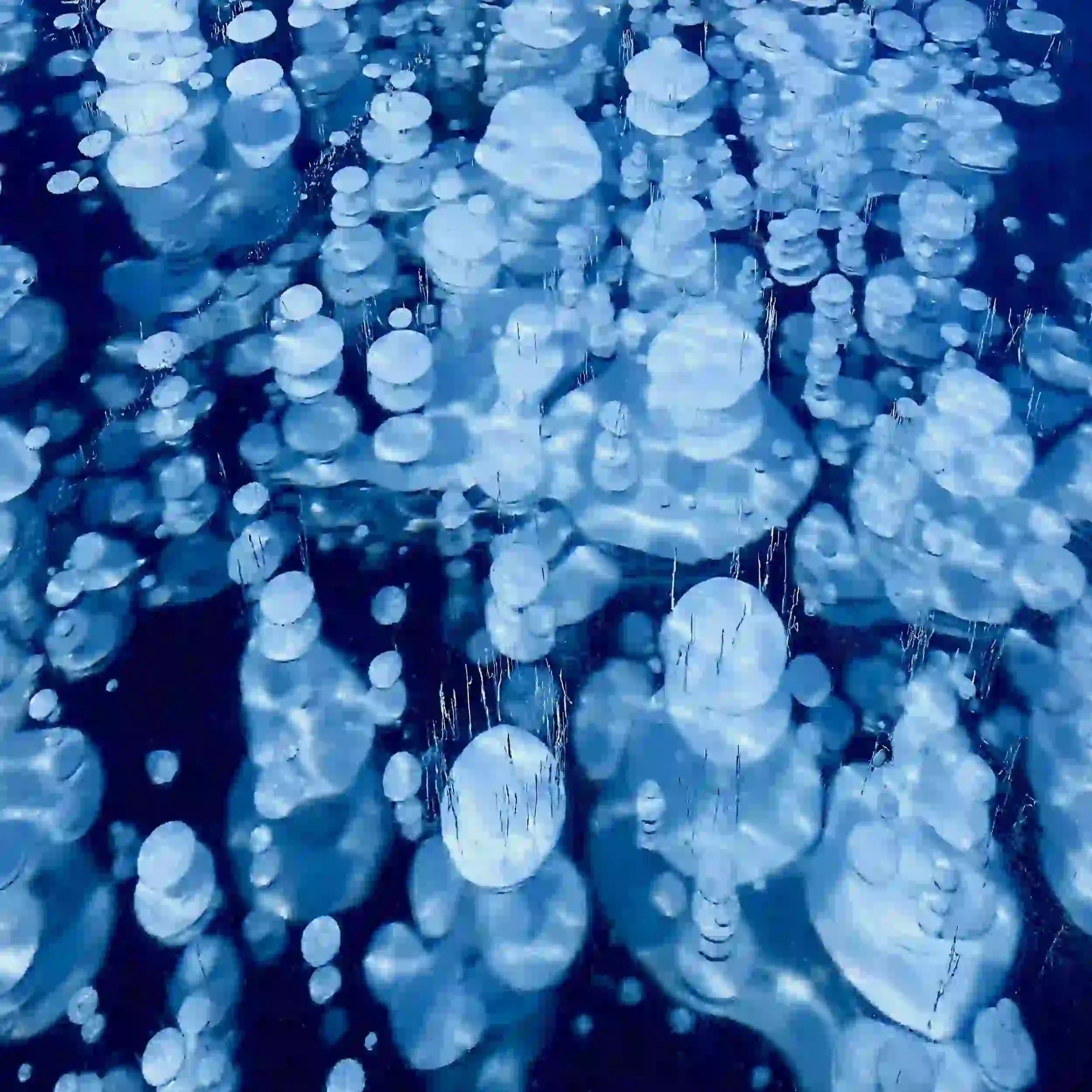 Fascinating frozen bubbles beneath the water.